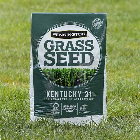 bag of grass seed mix. . Pennington kentucky 31
